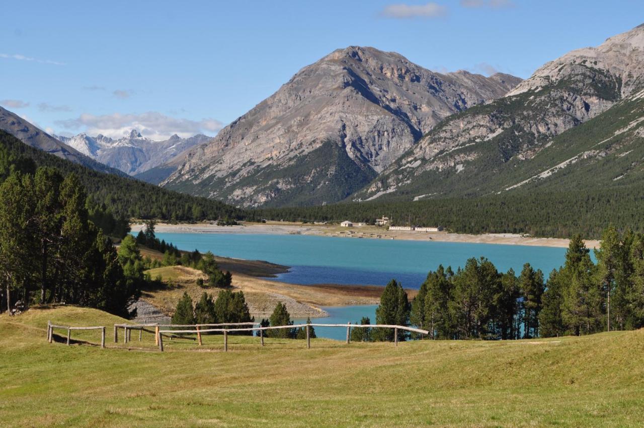 Chalet Bormio Stelvio Βίλα Valdidentro Εξωτερικό φωτογραφία